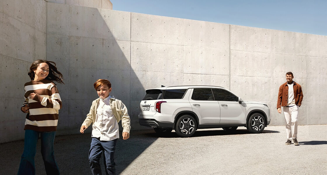 palisade lx2 pe highlights family values pc