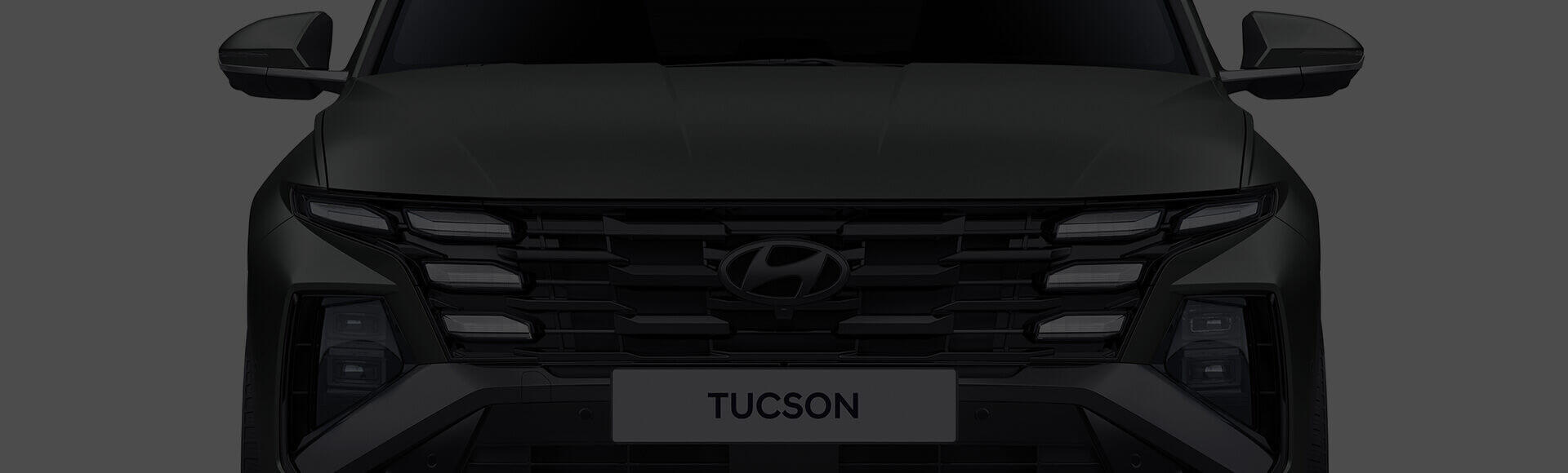 tucson design front accordion pc